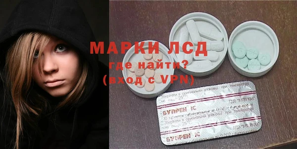 ECSTASY Белокуриха
