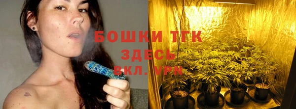 ECSTASY Белокуриха