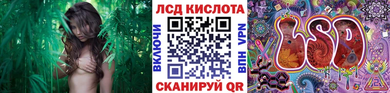 Марки N-bome 1,8мг  дарнет шоп  Болхов 